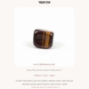עין הנמר לאומץ, הגנה והצלחה